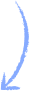 decoration vector